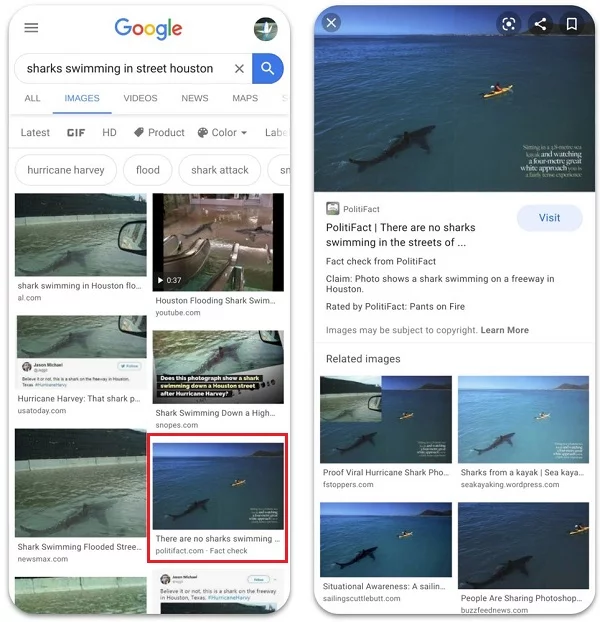 Resultados da Pesquisa de imagens do Google para